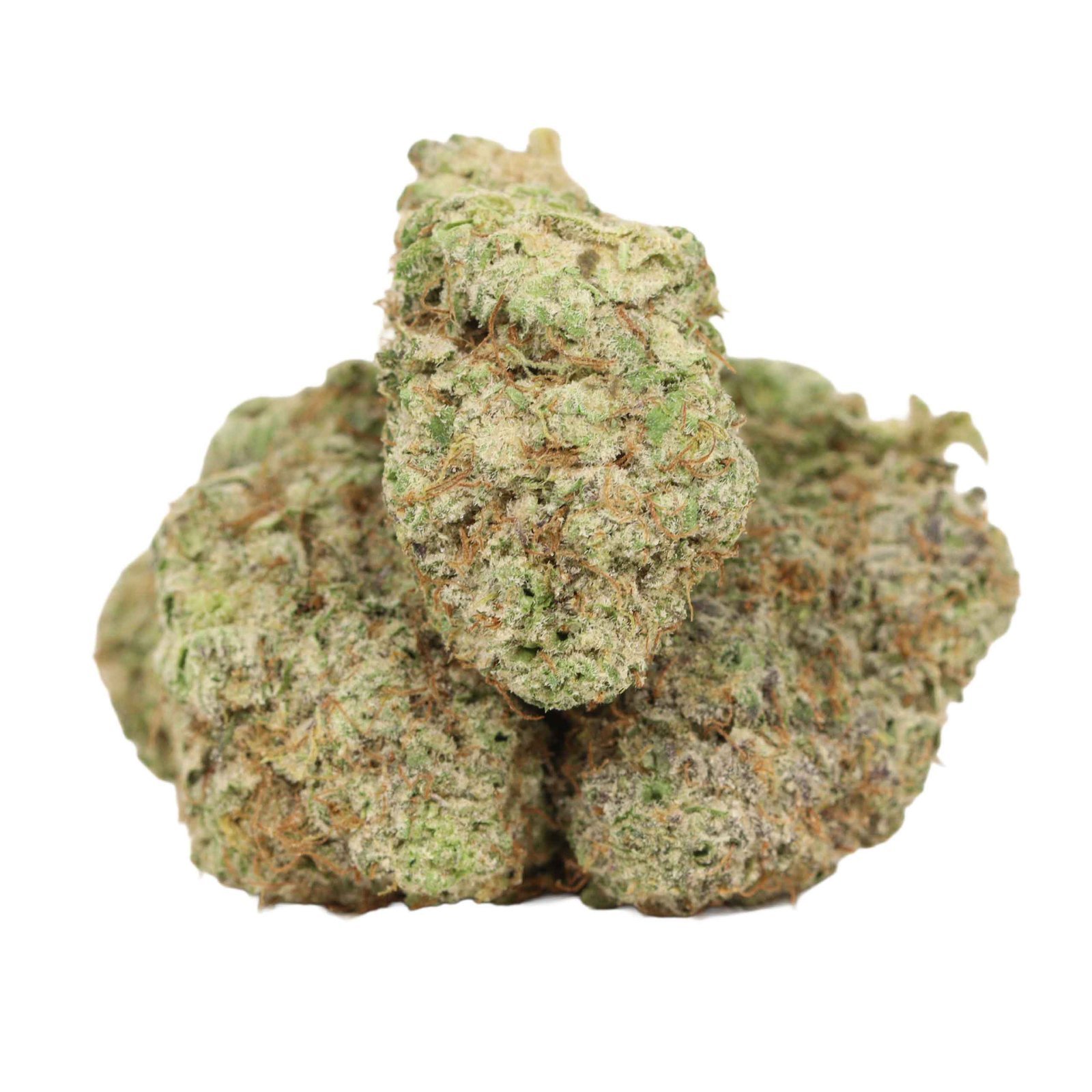 Cookie-Monster-Shatter.jpg